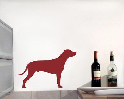 Rhodesian Ridgeback Wandtattoo - Ansicht 3