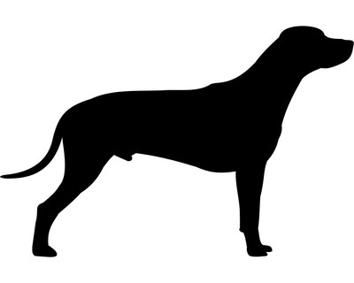 Rhodesian Ridgeback Wandtattoo