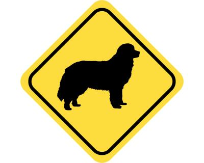 Warnschild Berner Sennenhund Aufkleber
