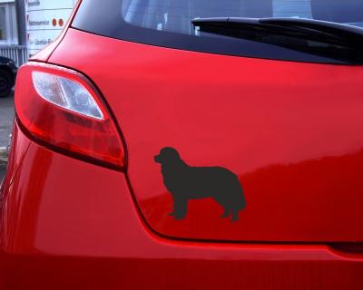 Berner Sennenhund Autoaufkleber - Ansicht 2