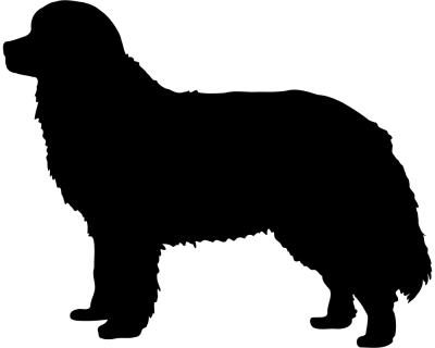 Berner Sennenhund Autoaufkleber - Ansicht 1
