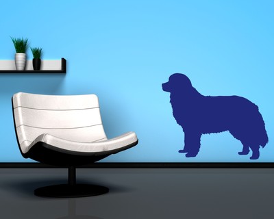 Berner Sennenhund Wandtattoo - Ansicht 3