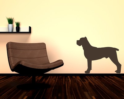 Cane Corso Wandtattoo - Ansicht 2