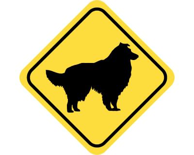 Warnschild Collie Aufkleber