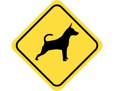 Warnschild Zwergpinscher Aufkleber