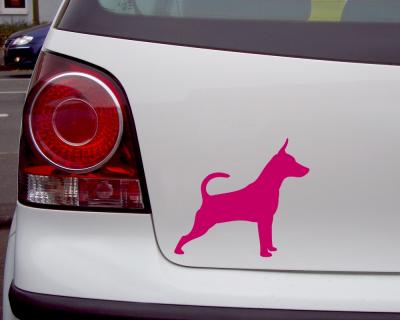 Zwergpinscher Autoaufkleber - Ansicht 3