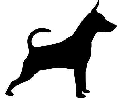 Zwergpinscher Autoaufkleber - Ansicht 1