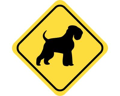 Warnschild Zwergschnauzer Aufkleber