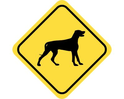 Warnschild Weimaraner Aufkleber