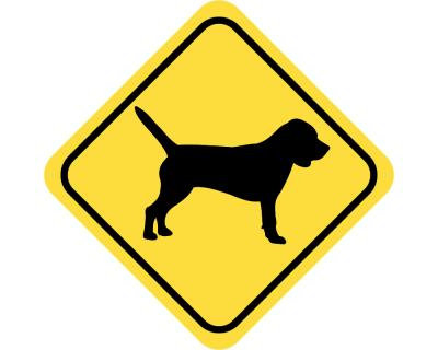 Warnschild Beagle Aufkleber