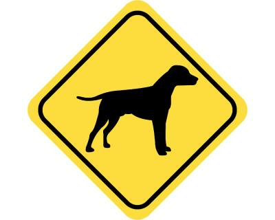 Warnschild Dalmatiner Aufkleber - Ansicht 2