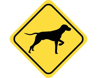 Warnschild Magyar Vizsla Aufkleber - Ansicht 2