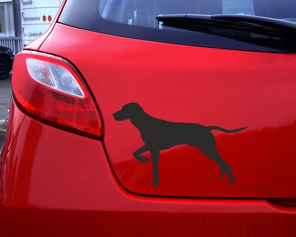 Samunshi Havaneser Hunde Aufkleber Autoaufkleber Sticker