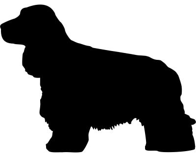 Cocker Spaniel Autoaufkleber