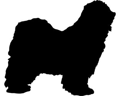 Tibet Terrier Wandtattoo