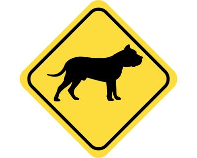 Warnschild Dogo Canario Aufkleber