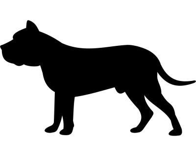 Dogo Canario Autoaufkleber