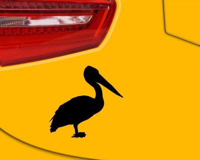 Pelikan als  Aufkleber - Ansicht 2