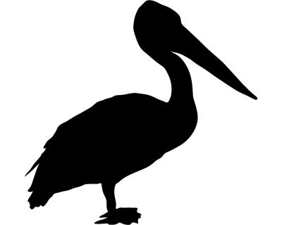 Pelikan als  Aufkleber