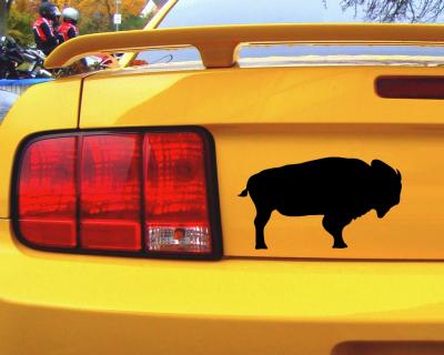 Bison als Aufkleber