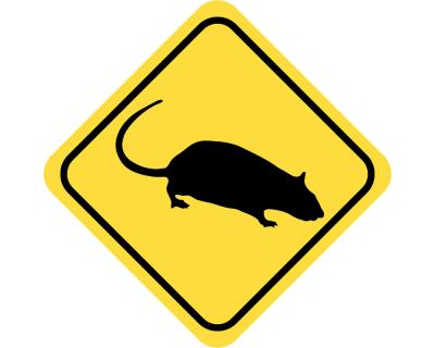 Warnschild Ratte Aufkleber