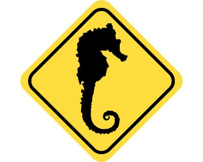 Warnschild Seepferdchen Aufkleber - Ansicht 2