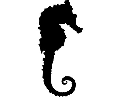 Seepferdchen Wandtattoo - Ansicht 1