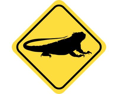 Warnschild Leguan Aufkleber Aufkleber