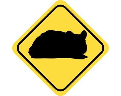 Warnschild Hamster Aufkleber