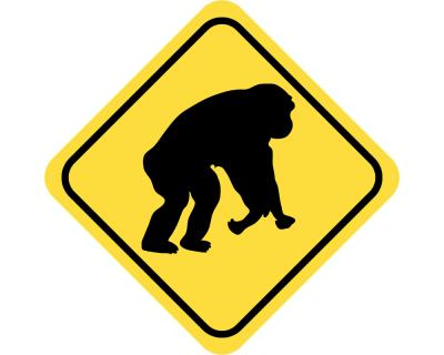 Warnschild Affe Aufkleber