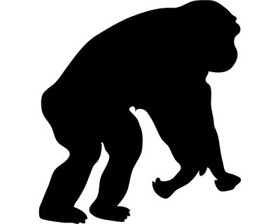 Affe als Aufkleber - Ansicht 1