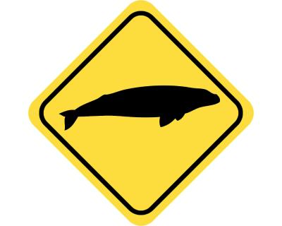 Warnschild Wal Aufkleber