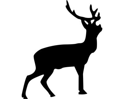 Hirsch Wandtattoo - Ansicht 1