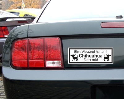 Aufkleber Chihuahua fhrt mit