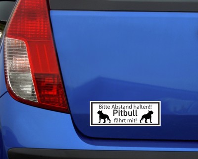 Aufkleber American Pit Bull Terrier fährt mit - Ansicht 3