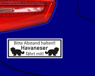 Aufkleber Havaneser fhrt mit - Ansicht 3