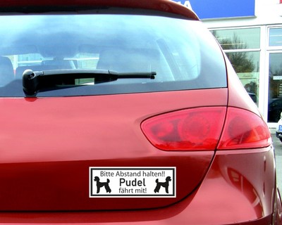 Aufkleber Pudel fhrt mit - Ansicht 3