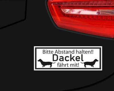 Aufkleber Dackel fhrt mit - Ansicht 3