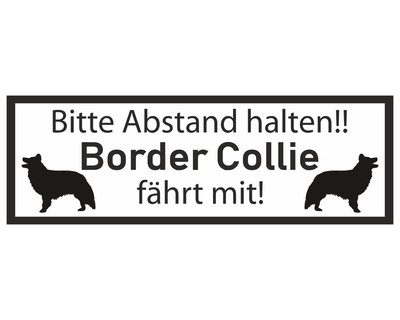 Aufkleber Border Collie fhrt mit