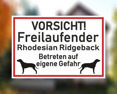 Aufkleber Vorsicht Rhodesian Ridgeback