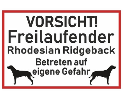 Aufkleber Vorsicht Rhodesian Ridgeback - Ansicht 1