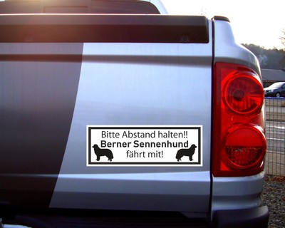 Aufkleber Berner Sennenhund fhrt mit - Ansicht 2