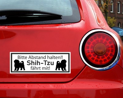 Aufkleber Shih-Tzu fhrt mit - Ansicht 2