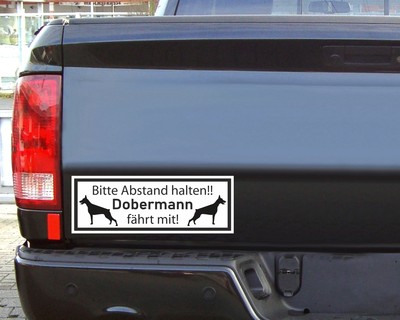 Aufkleber Dobermann fhrt mit - Ansicht 2