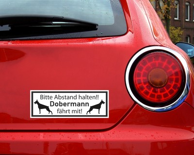 Aufkleber Dobermann fhrt mit - Ansicht 3