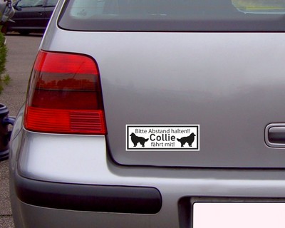 Aufkleber Collie fährt mit - Ansicht 2
