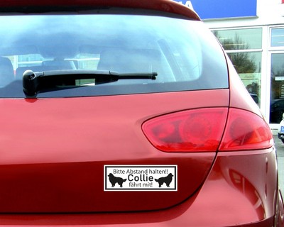 Aufkleber Collie fährt mit - Ansicht 3