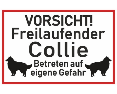 Aufkleber Vorsicht Collie