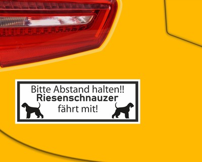 Aufkleber Riesenschnauzer fhrt mit - Ansicht 3