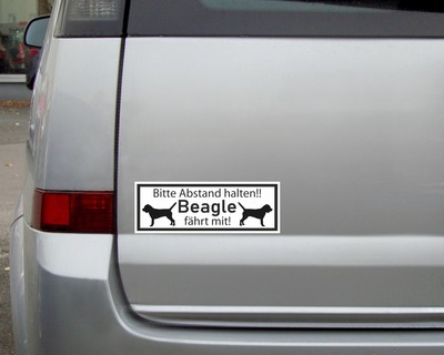 Aufkleber Beagle fhrt mit - Ansicht 3